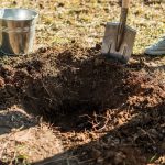 Worker digging a hole to plant a tree