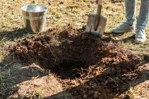 Worker digging a hole to plant a tree
